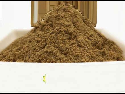 Cordyceps extract