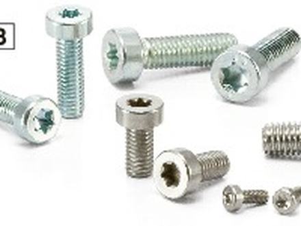 Torx low head bolt &mdash; SLT-TZB-ALK