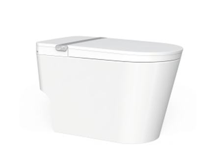 Smart toilet