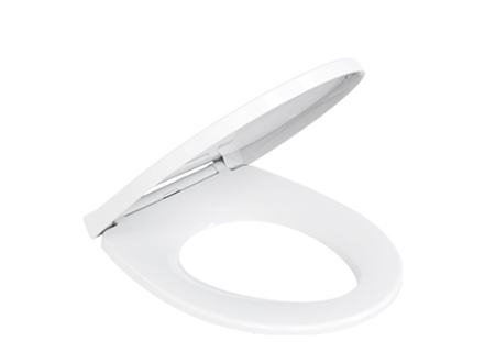 Toilet seat