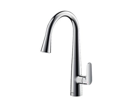 Kitchen faucet